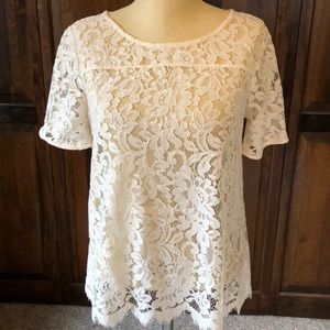 LOFT Lace short sleeve shell